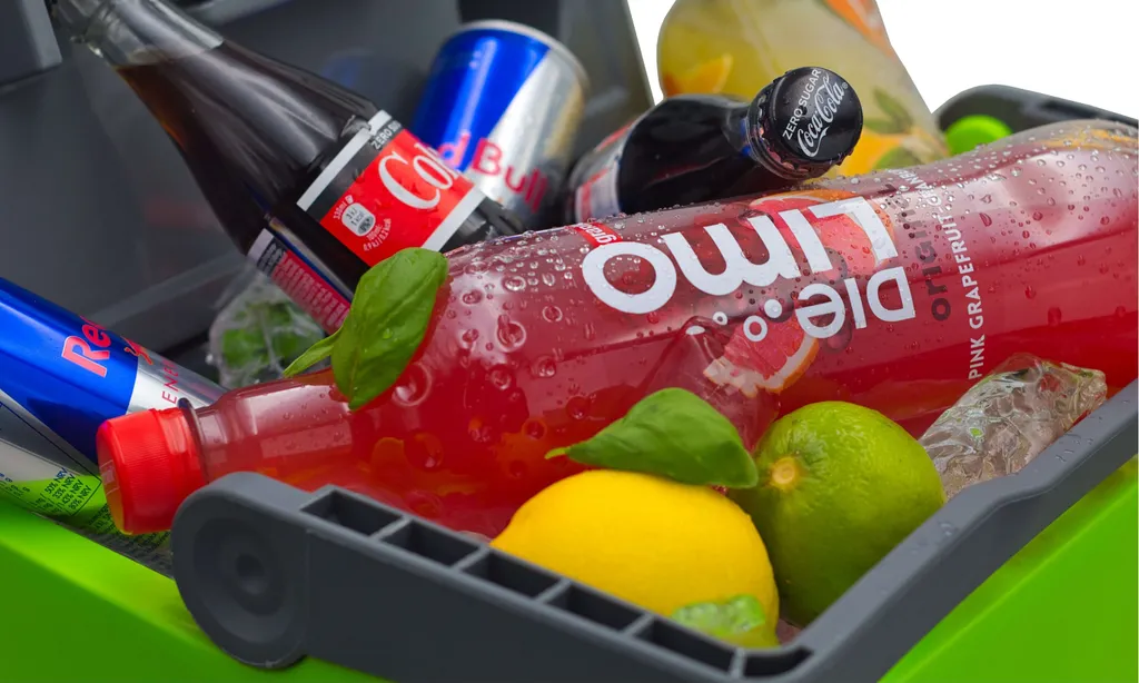 Steinborg Kühlbox 30 Liter | Warmhaltebox | Praktischer Tragegriff | Eco-Modus | 12 V/ 230 V Stromversorgung – Bild 6