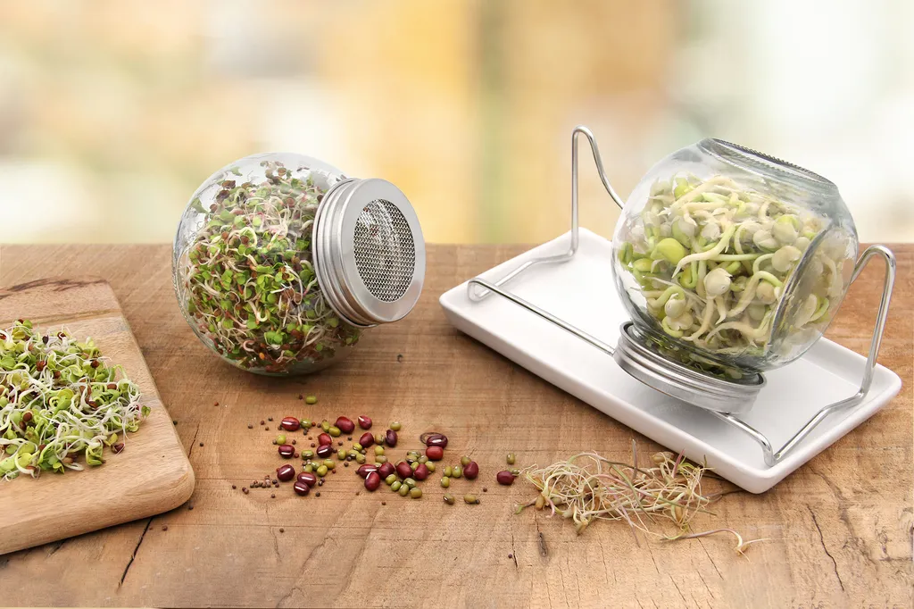 Sprossenglas Duo Set (2x 425 Ml) | Keimgläser Von FLORTUS – Bild 5