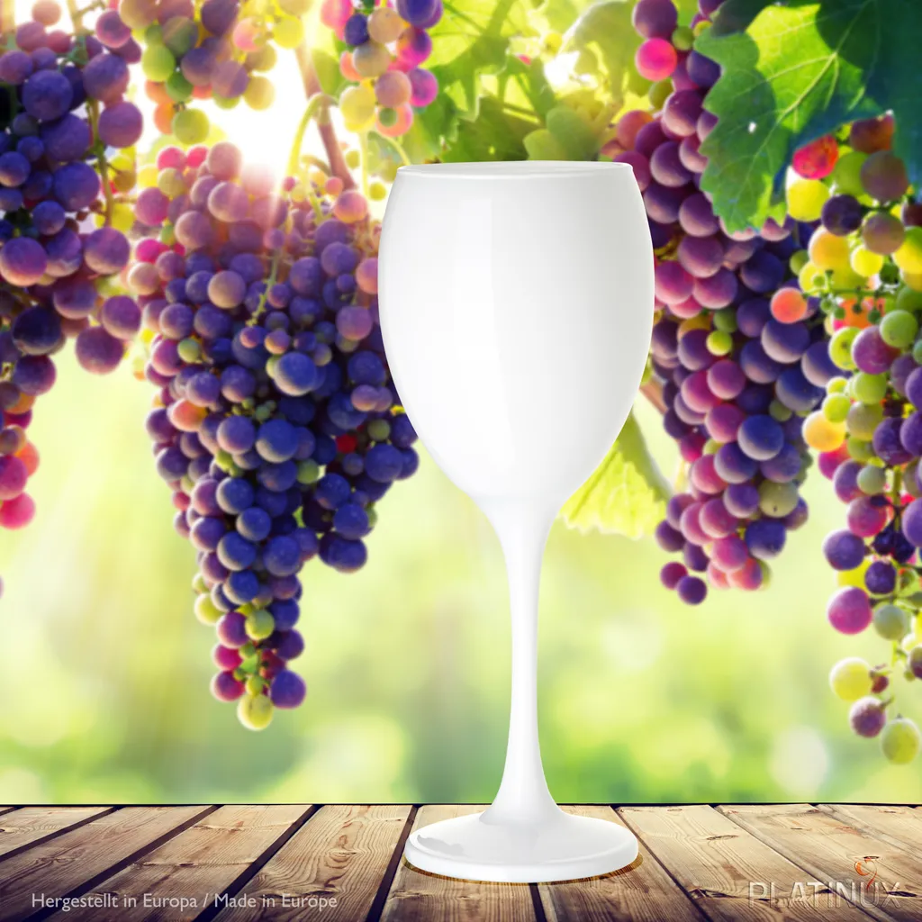 Weiße Weingläser Wasserglas Set 6 Teilig 130ml (max. 320ml) Aus Glas Massiv Weißweingläser Rotweingläser – Bild 4