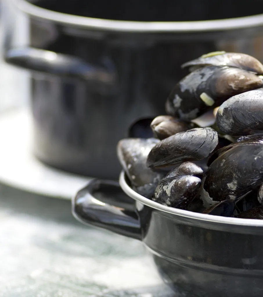 Muscheltopf Für Ca. 1,5 - 2KG Muscheln 20cm – Bild 2