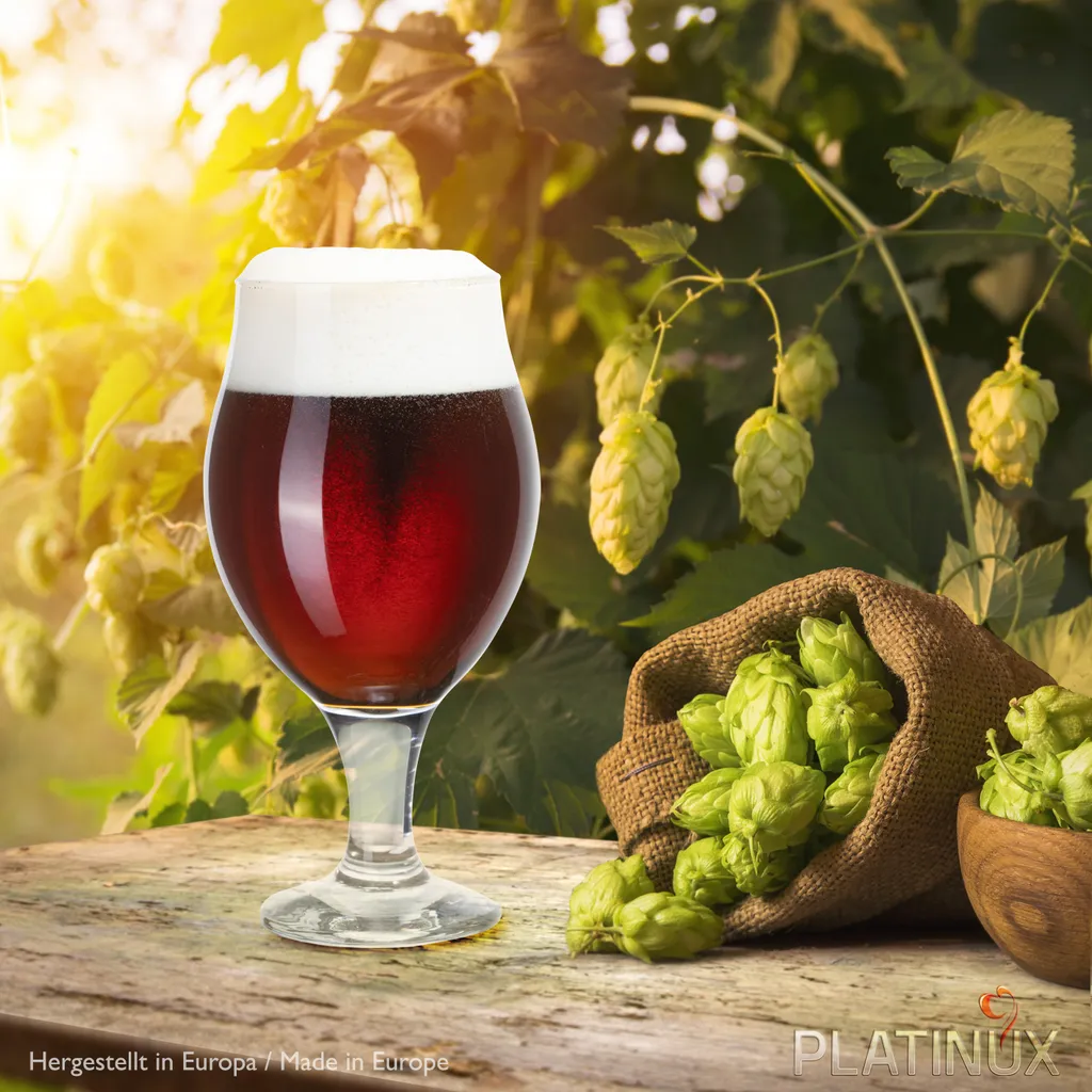 Biertulpen Biergläser Set 6 Teilig 500ml (max. 560ml) Pilsgläser Tulpe