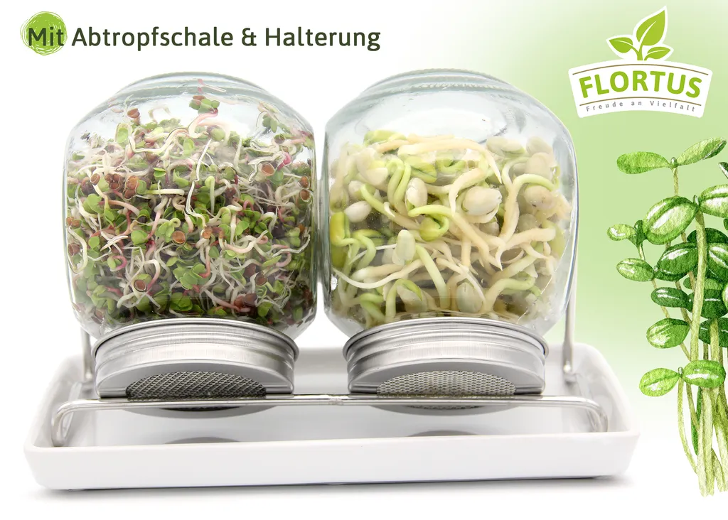 Sprossenglas Duo Set (2x 425 Ml) | Keimgläser Von FLORTUS – Bild 3
