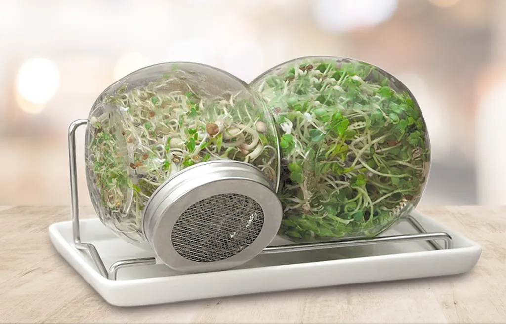 Sprossenglas Duo Set (2x 425 Ml) | Keimgläser Von FLORTUS – Bild 7