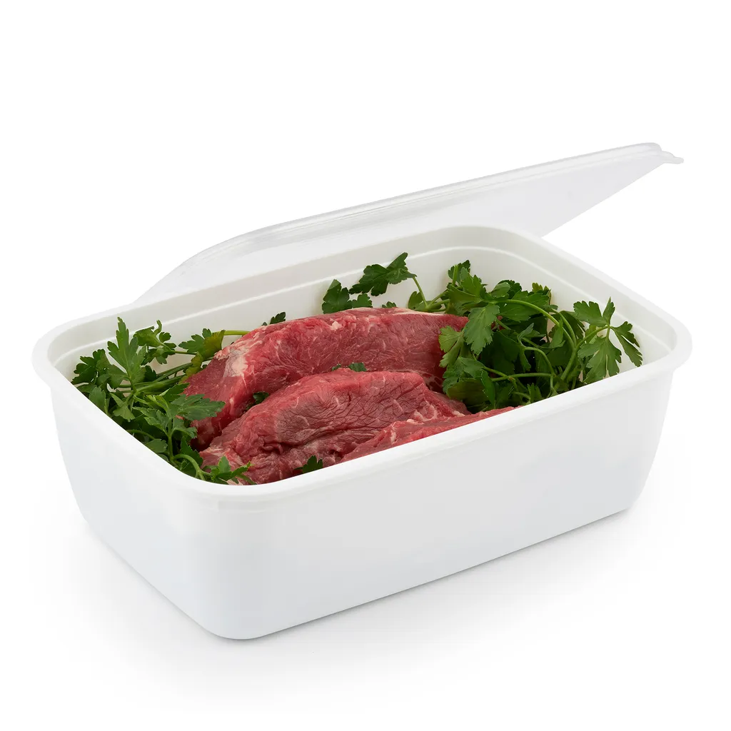 ROTHO Set Gefrierdosen 2 X 1.9 L FREEZE, Farbe:Transparent – Bild 2