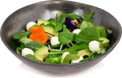 Sänger SÄNGER Salatschale Tombey