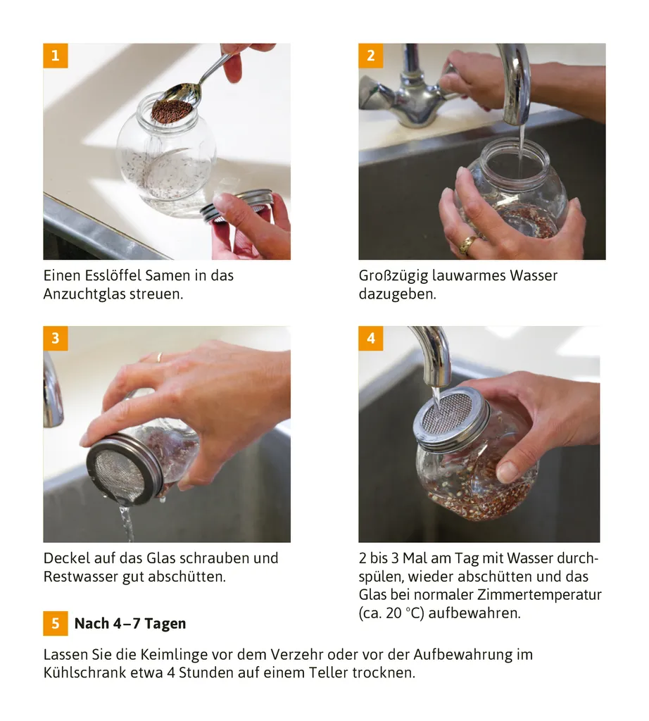 Sprossenglas Duo Set (2x 425 Ml) | Keimgläser Von FLORTUS – Bild 4